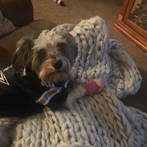 Meet your Posher, Angel